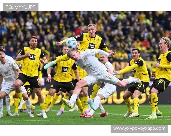 多特蒙德补入技术型中场